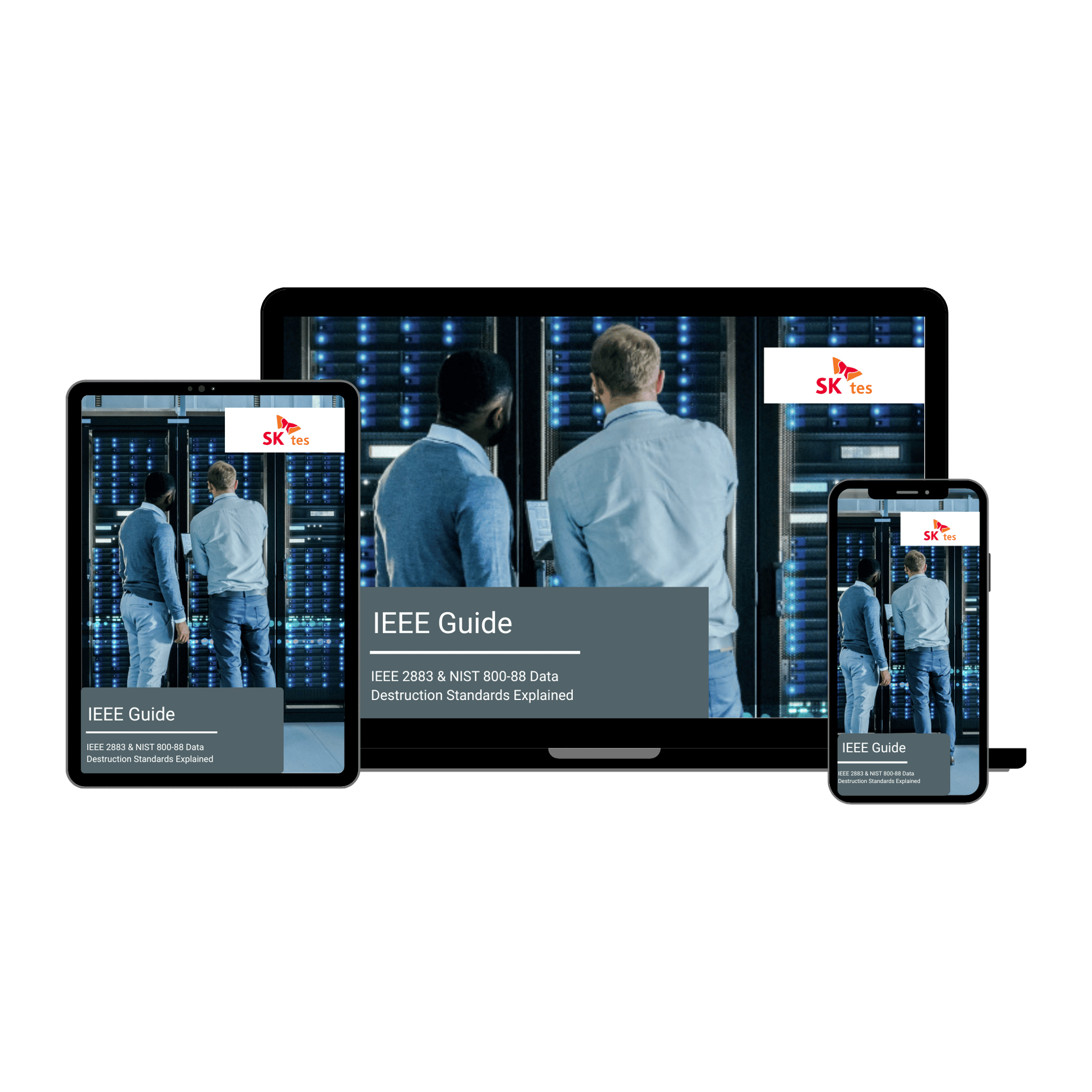 IEEE Guide