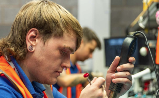 Employee Diversity at SK Tes